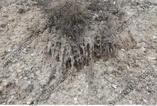 Photo Texture of Wall Gravel 0009